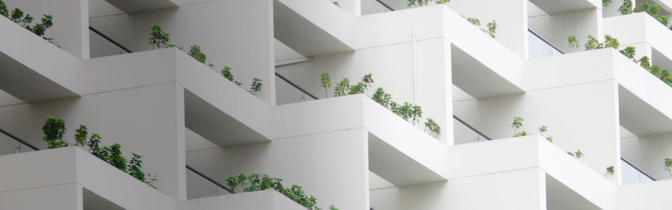 Global Property Securities 'Rentability’ and the lure of energy