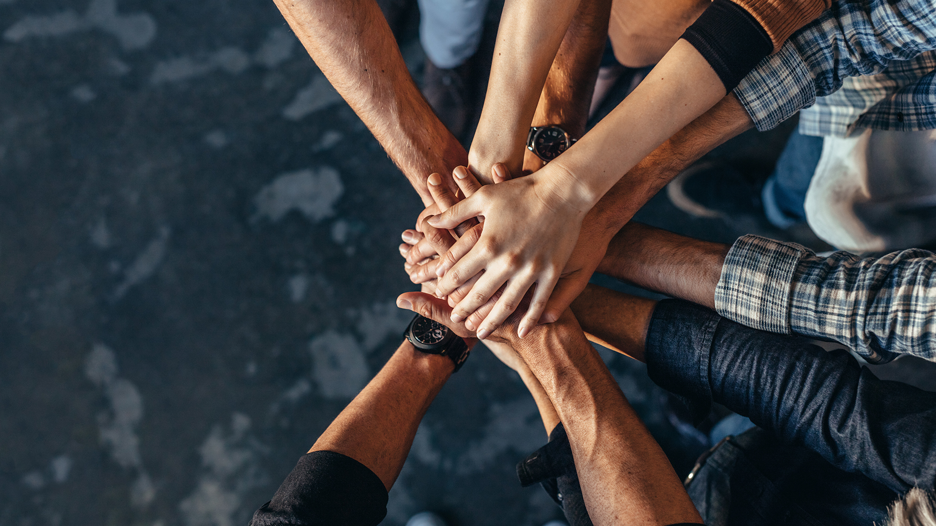 Diversity | First Sentier Investors
