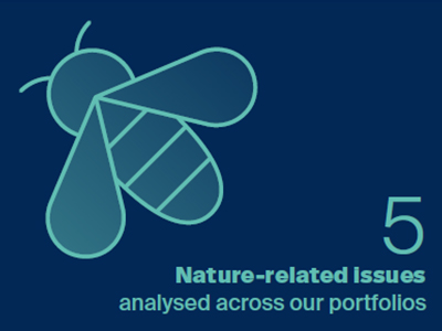 5 nature-related issues analysed across our portfolios